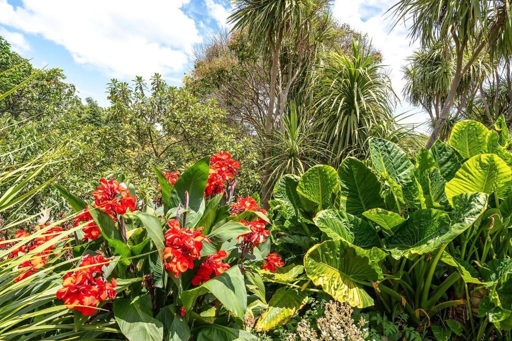 Oneroa Bay Villa Waiheke Dış mekan fotoğraf
