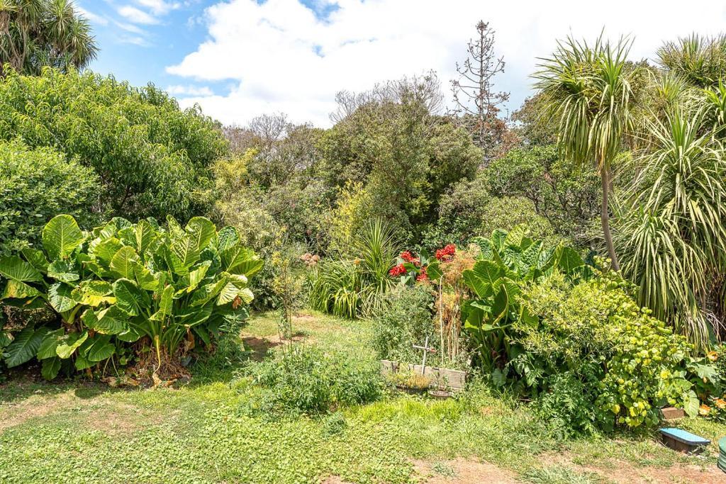 Oneroa Bay Villa Waiheke Dış mekan fotoğraf