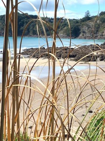 Oneroa Bay Villa Waiheke Dış mekan fotoğraf