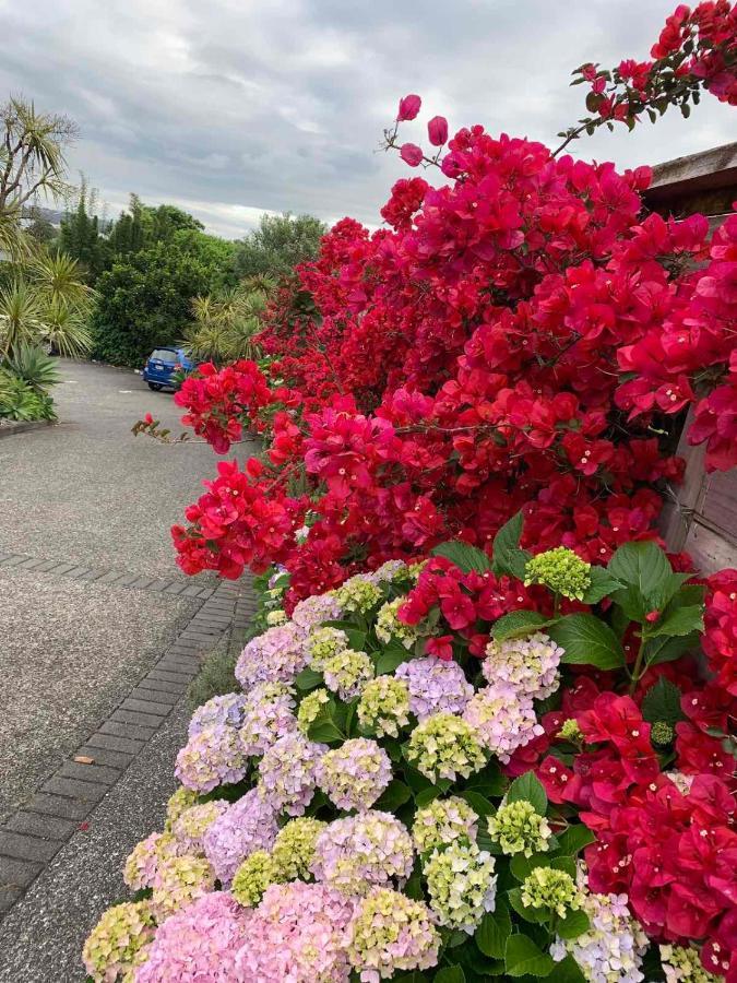 Oneroa Bay Villa Waiheke Dış mekan fotoğraf